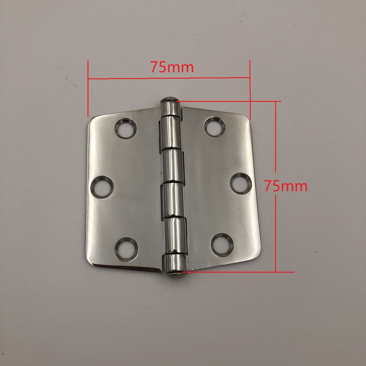 SS316 hinge