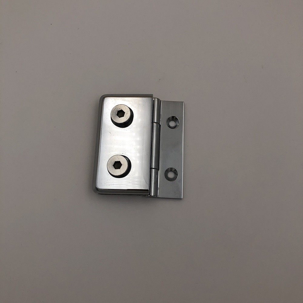 big single glass hinge